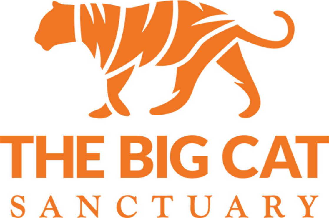 The Big Cat Sanctuary logo