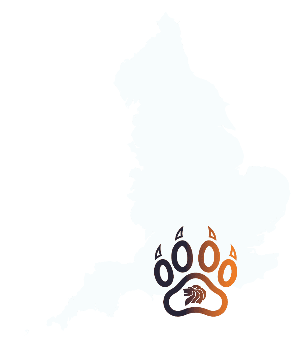 A map of England in white against a dark blue background, featuring a black lion paw print symbol with a lion head inside it positioned over the southern region.